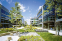 /uploads/posts/9bc89d8f2337e435d099d203a03761bb3ca88ef7/thumbnails/The_Park (1).png